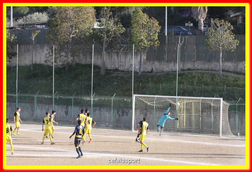 200301 Cepha_Mazara 106.jpg